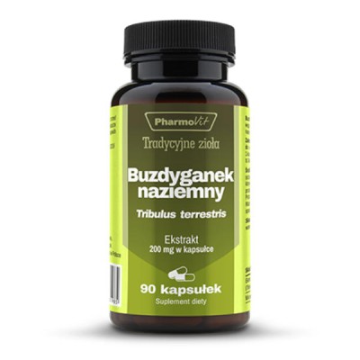 Buzdyganek naziemny Tribulus terrestris 200 mg 90 kaps