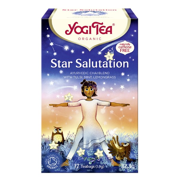 Herbatka ajurwedyjska star salutation BIO (17x1,9g) 32,3g