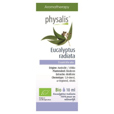 Olejek eteryczny eucalyptus radiata (eukaliptus australijski) BIO 10ml