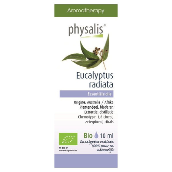 Olejek eteryczny eucalyptus radiata (eukaliptus australijski) BIO 10ml